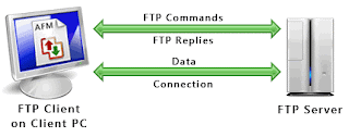 FTP Transfer