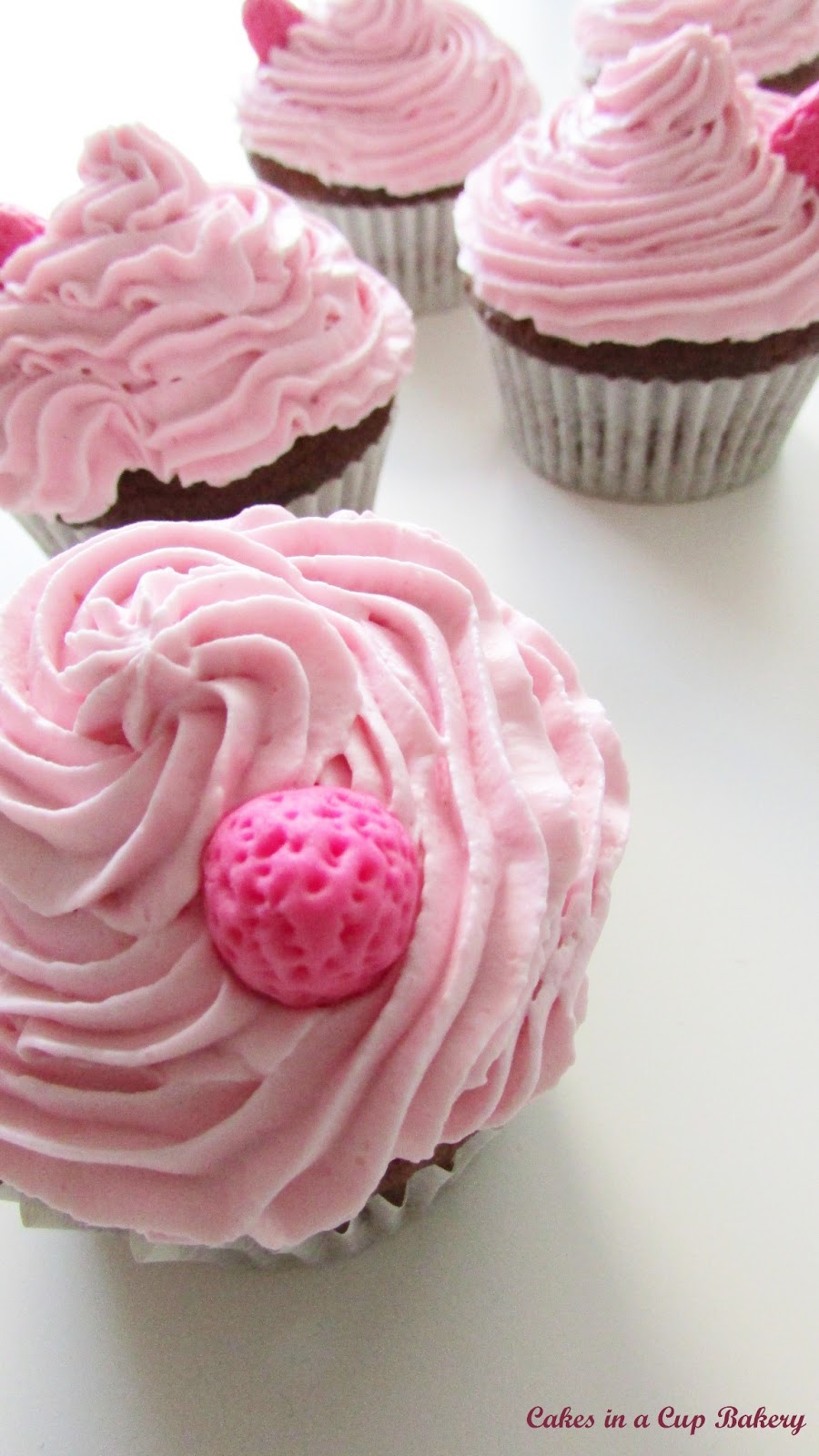 Cakes In A Cup Bakery CUPCAKES CHOCOLATEADOS CON FROSTING DE FRAMBUESA