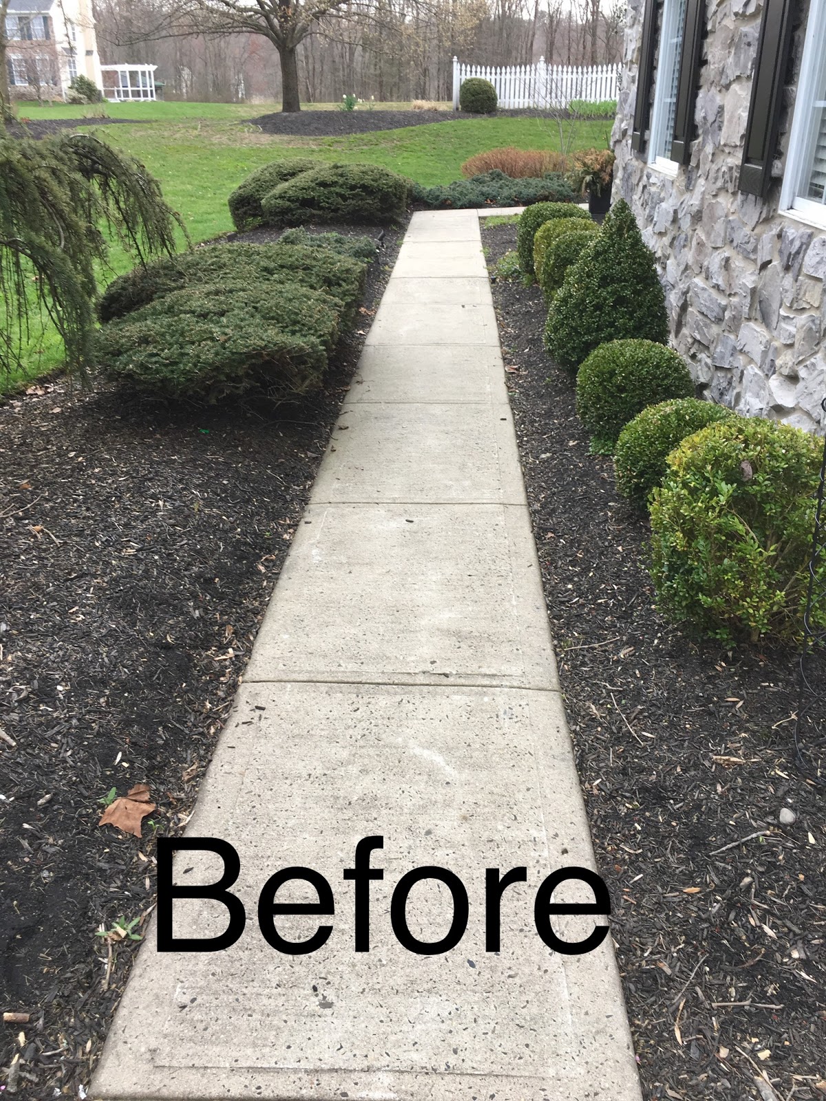Horkans Lifestyle Garden Centre Hedging Replacement Advise What