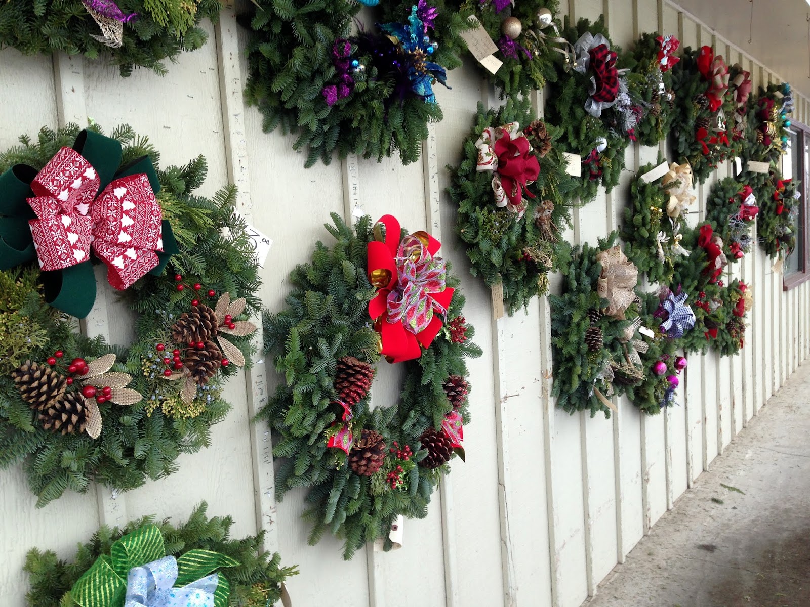 WALLA WALLA DAILY PHOTO As Seen By Susan CHRISTMAS KLICKER'SPart 3