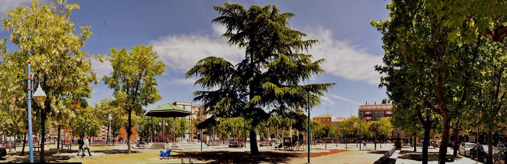 árboles del parque Garrido, Salamanca