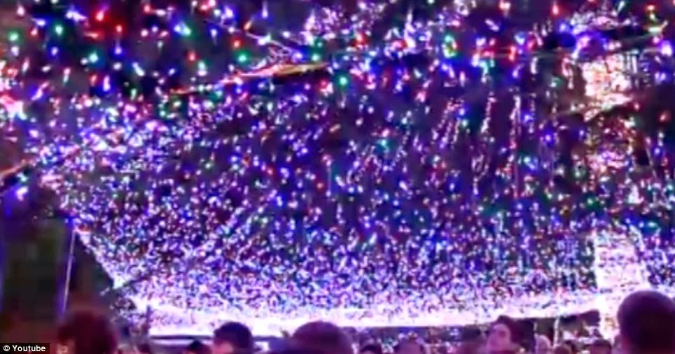 Australian Family Sets New Guinness Record with Over Half a Million