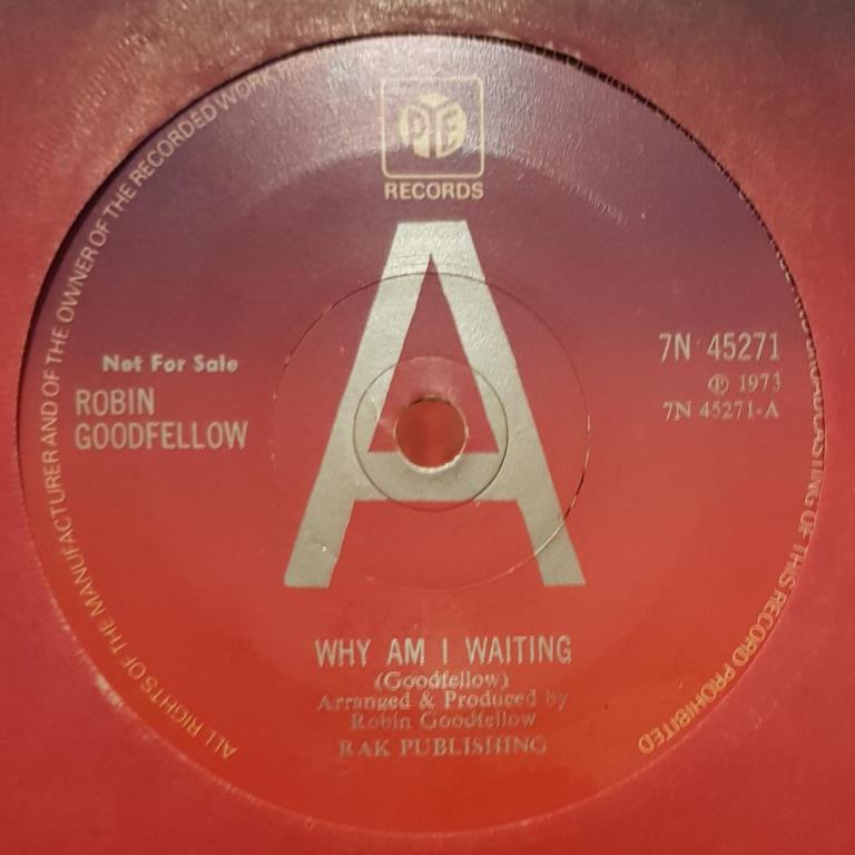 PUREPOP Robin Goodfellow Why Am I Waiting Obscure UK Glamera Pop