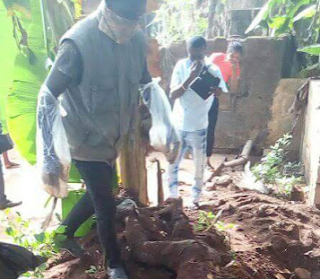  Graphic: Mother and two sons allegedly kill her husband in Anambra, buries body under a plantain tree