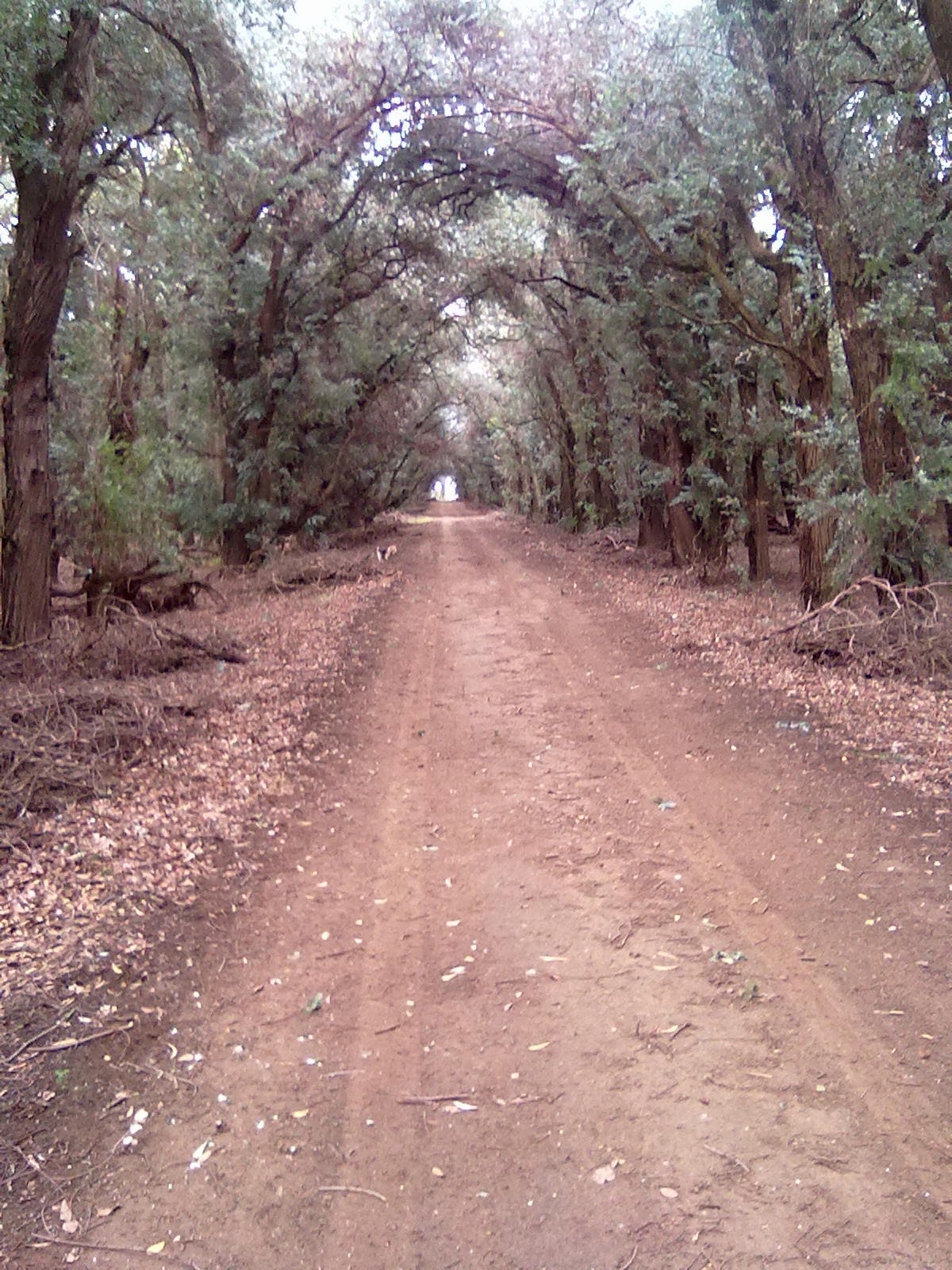Estancia La Guitarra Un lugar Mágico