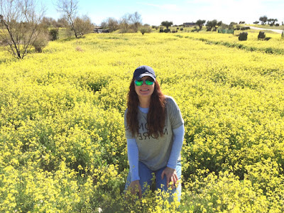 parque, Madrid, naturaleza, Valdebebas