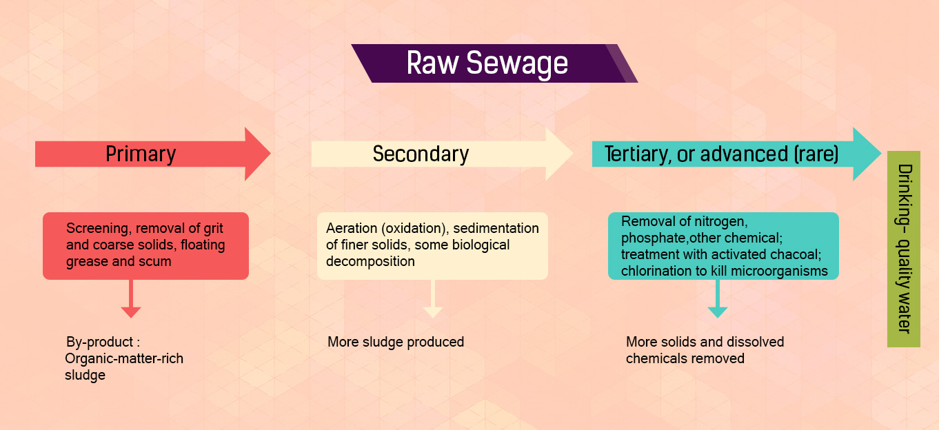 Raw Sewage
