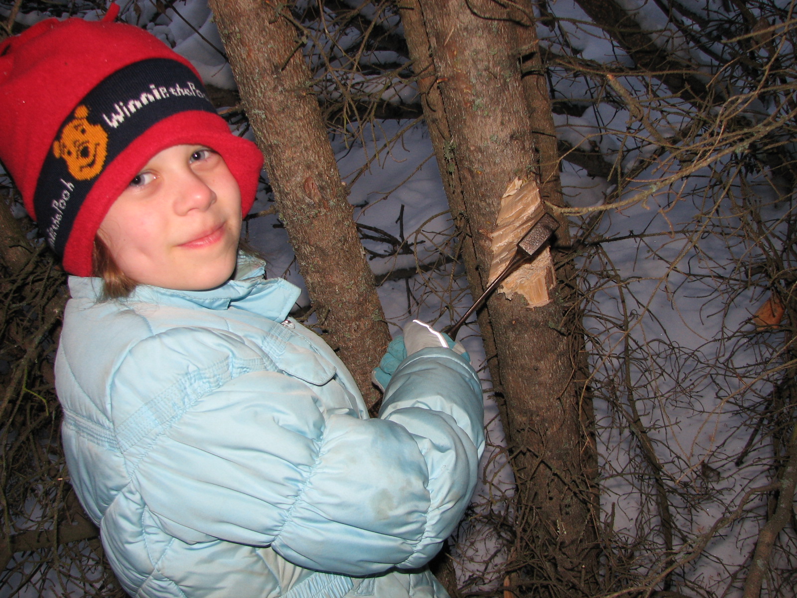 A Family is an Adventure How to Chop down a Christmas Tree