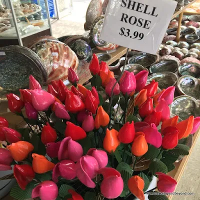 shell roses at The Shell Shop in Morro Bay, California