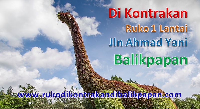 Di-KontrakanRukoDiBalikpapan