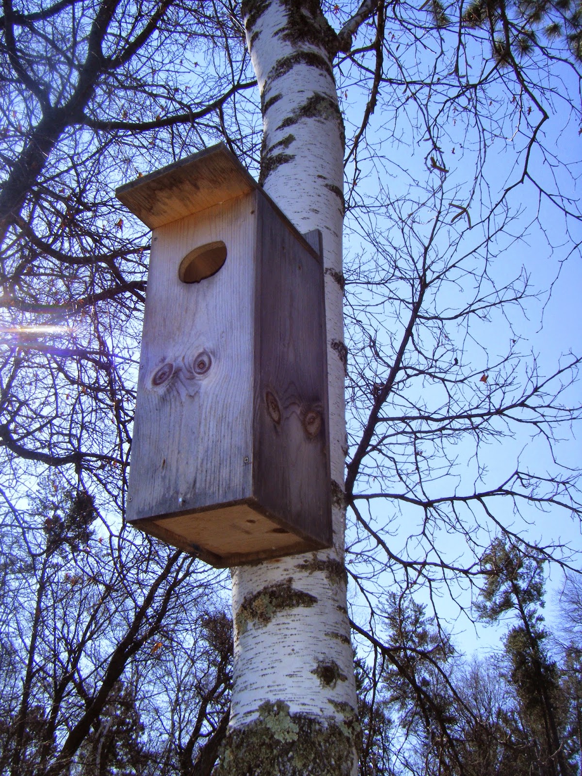 BRADLEY's BLOG Wood Duck Box Pictures and Information