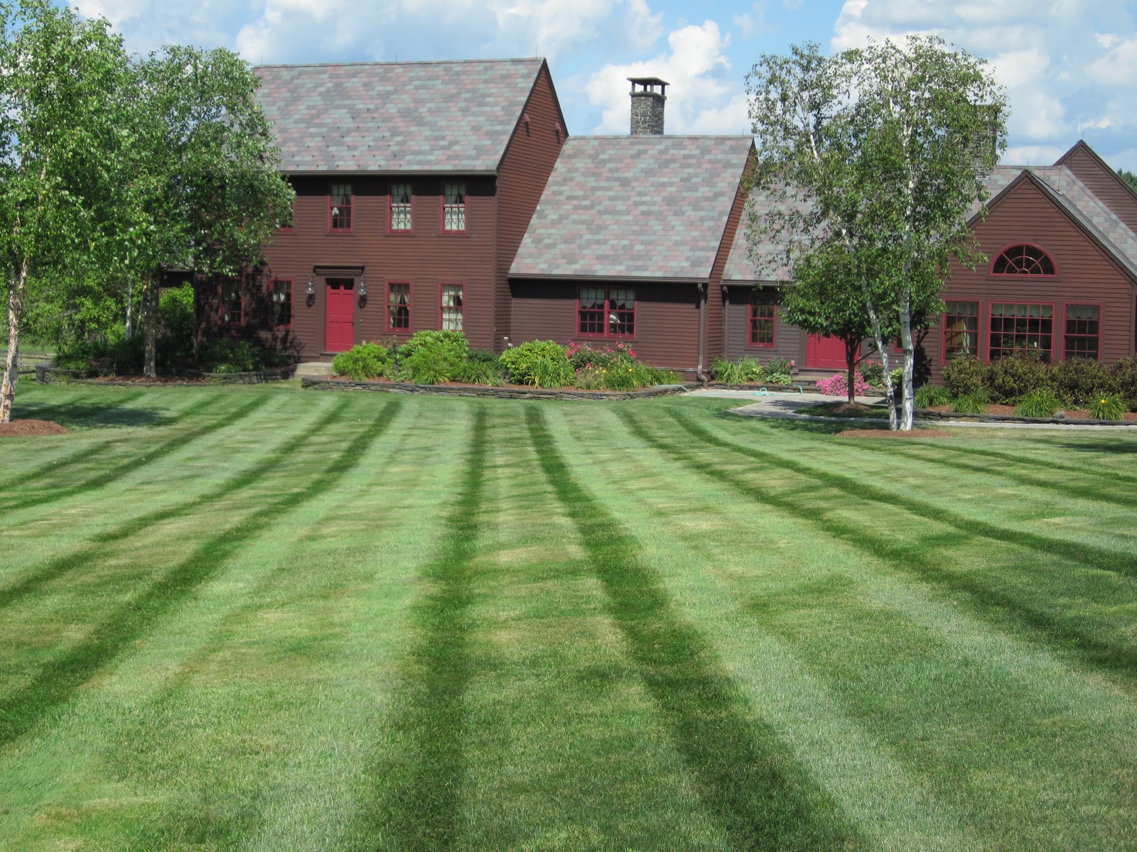 Snow & Sons Landscaping Top 10 Benefits of a Healthy Lawn