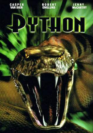 Python 2000 DVDRip 300MB UNCUT Hindi Dual Audio 480p