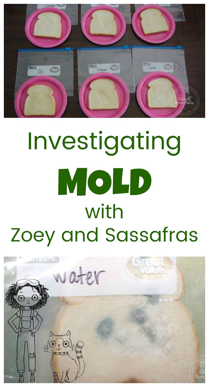 Growing and Preventing Mold a Science Experiment for Kids Life with