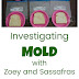  Growing and Preventing Mold a Science Experiment for Kids