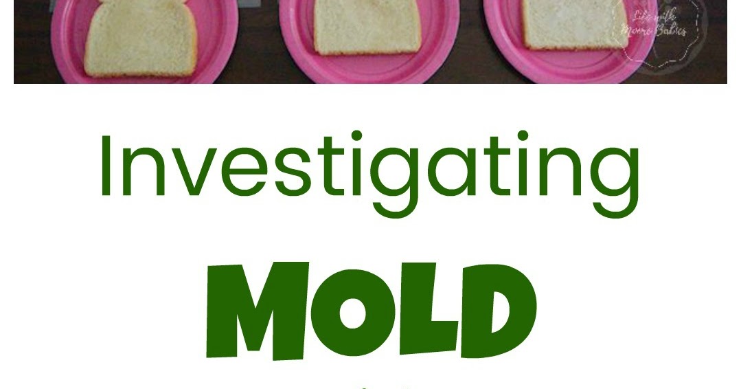 Growing and Preventing Mold a Science Experiment for Kids Life with Moore Babies