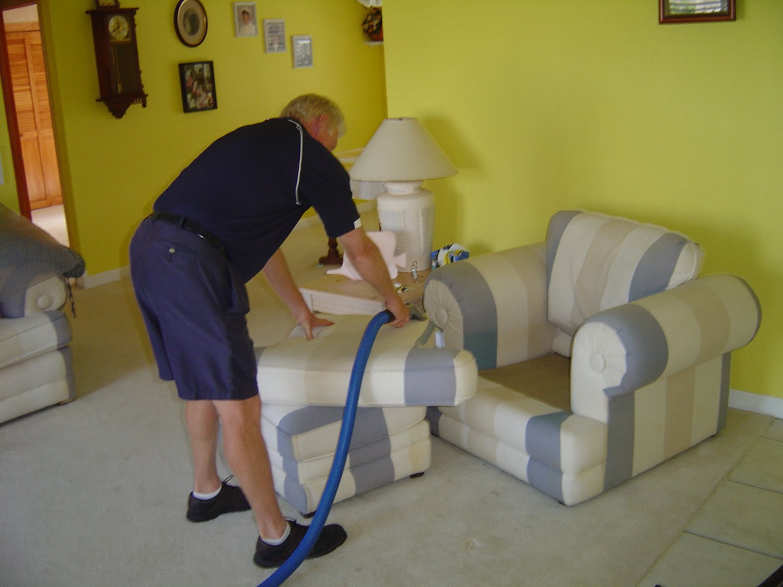 Domesticpedia Upholstery Cleaning For Dummies