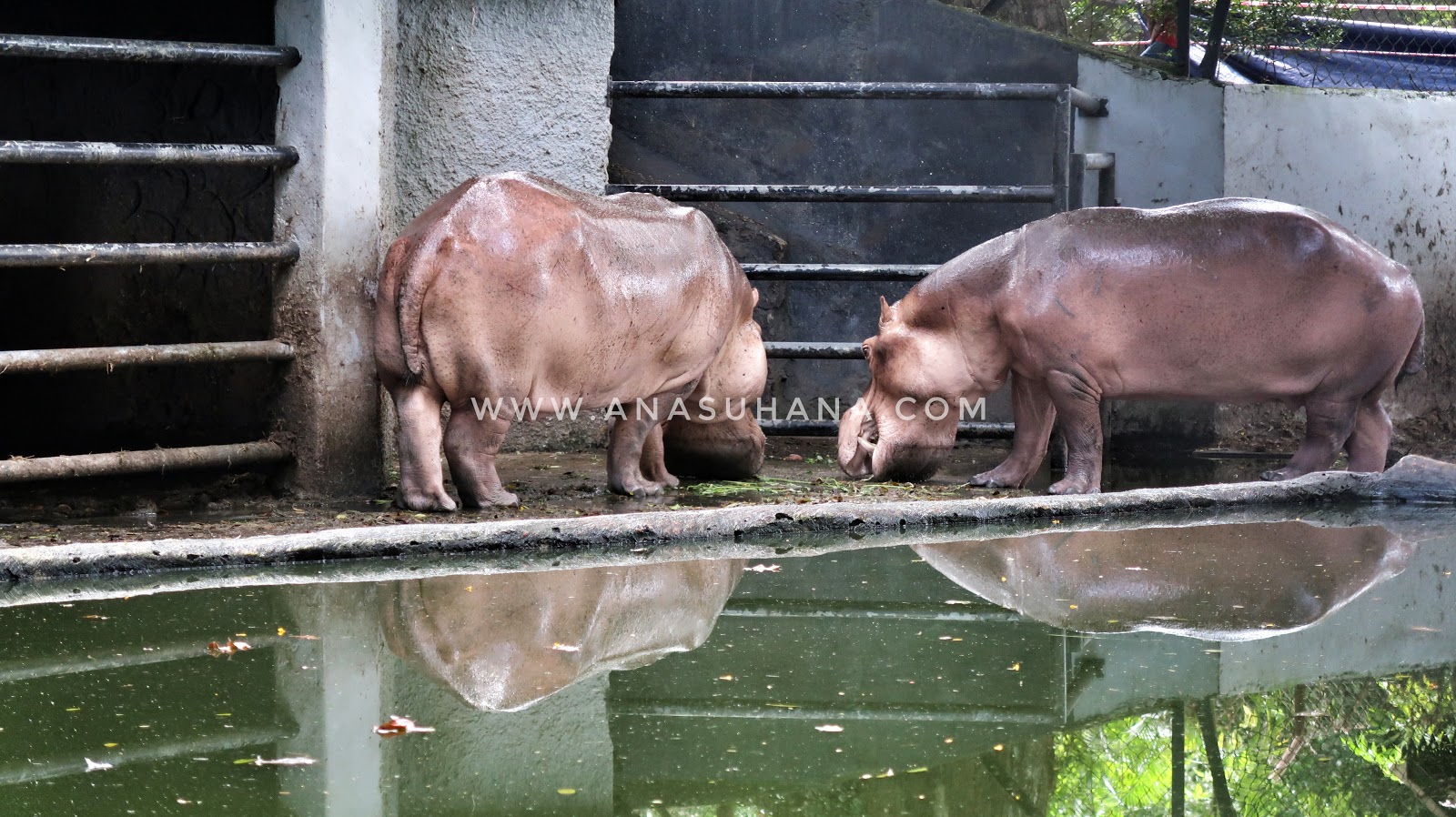 Zoo Johor
