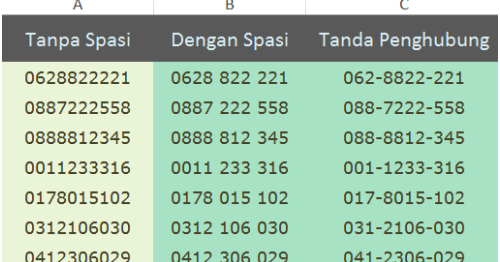Beginilah format mengetik nomor telepon pada excel 2007 ke