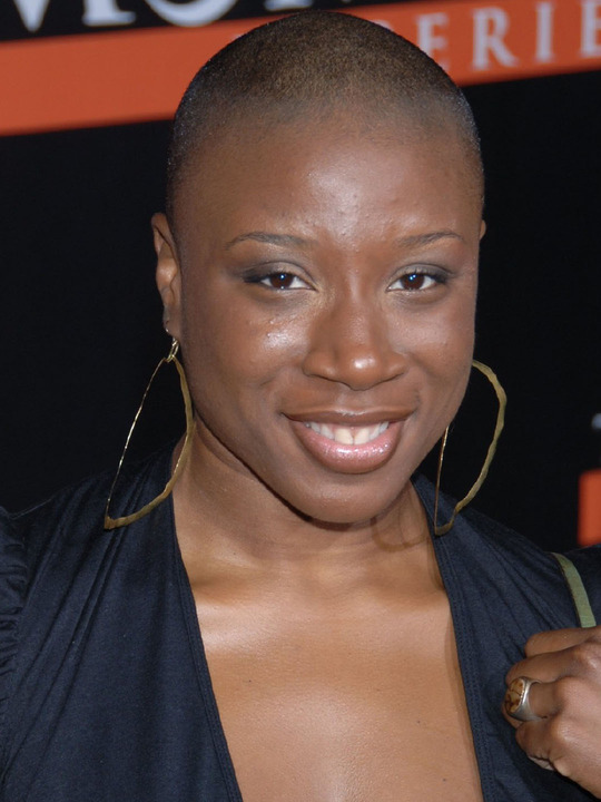 Welcome to the Latest Collection of Hollywood Actress Aisha Hinds Pictures.