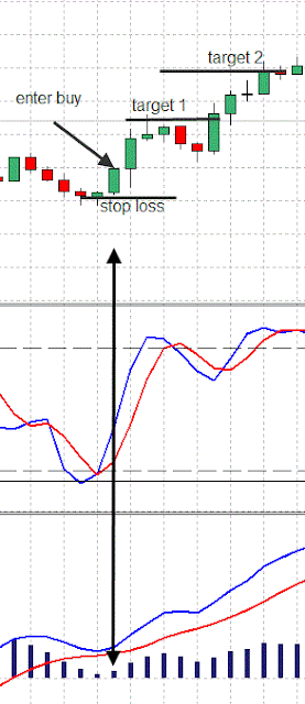 Momentum trading system