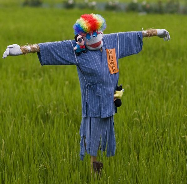Funny Scarecrow Ideas | Funny World