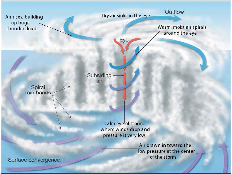 Natural Disaters & Earth Systems diagram of tornado safety 