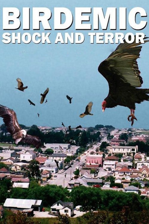 Birdemic: Shock and Terror 2010 Download ITA