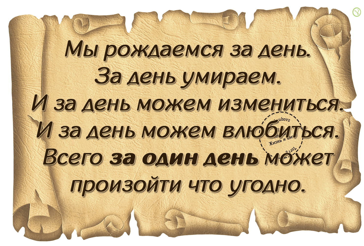 Жизнь за один день Жизнь за один день