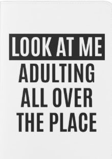 Stephanie Stebbins Author Mind On My Money Money On My Mind