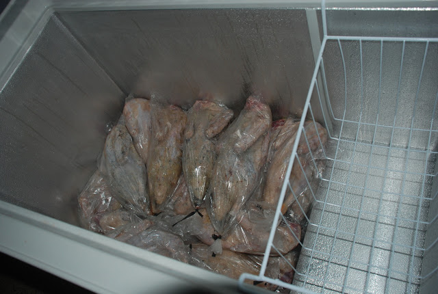 11 Cara ini Bisa Bantu Mama Muda Untuk Menyimpan Makanan Dalam Kulkas Dengan Benar