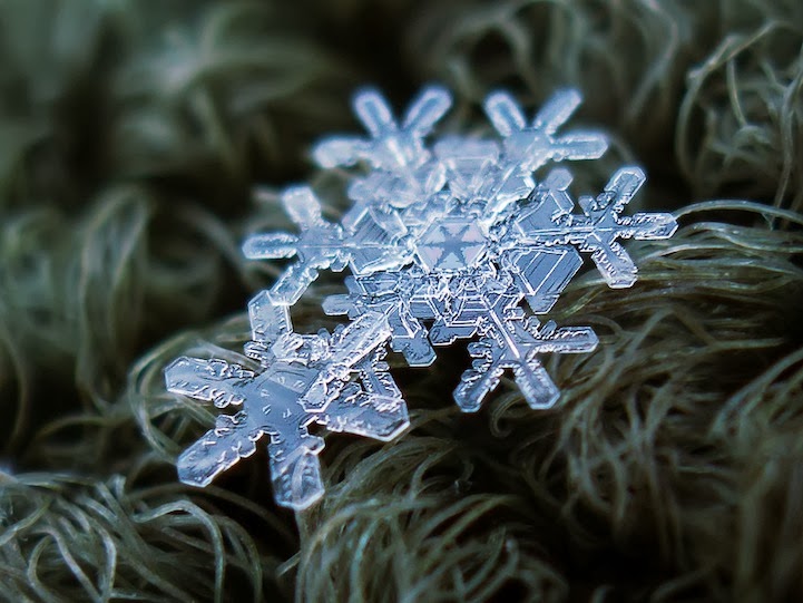 Stunning Macro Details of Uniquely Beautiful Snowflakes With An Inexpensive DIY Camera