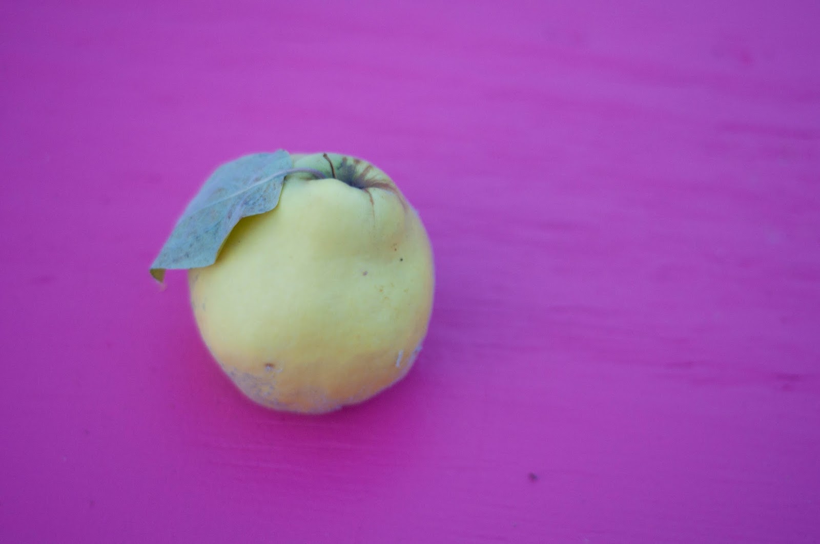 Robson's Farm What is Quince? And How to Use It.