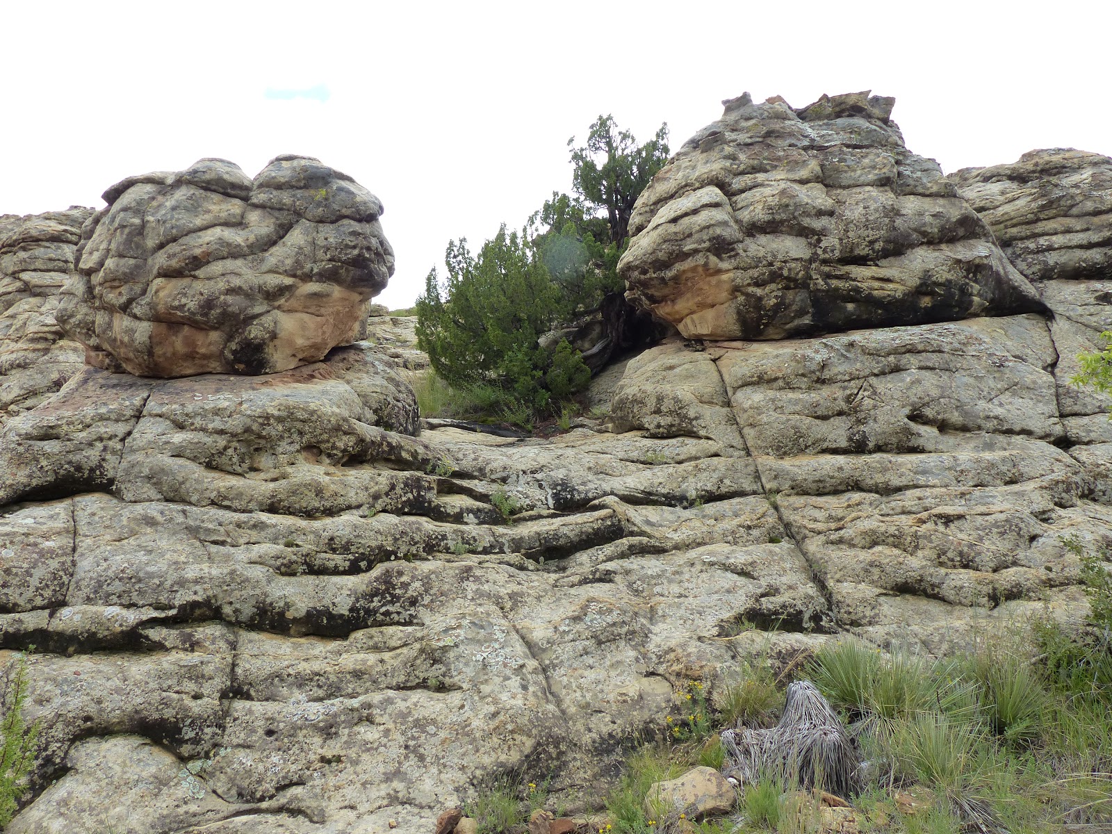 Land Cruising Adventure Clayton Lake State Park New Mexico