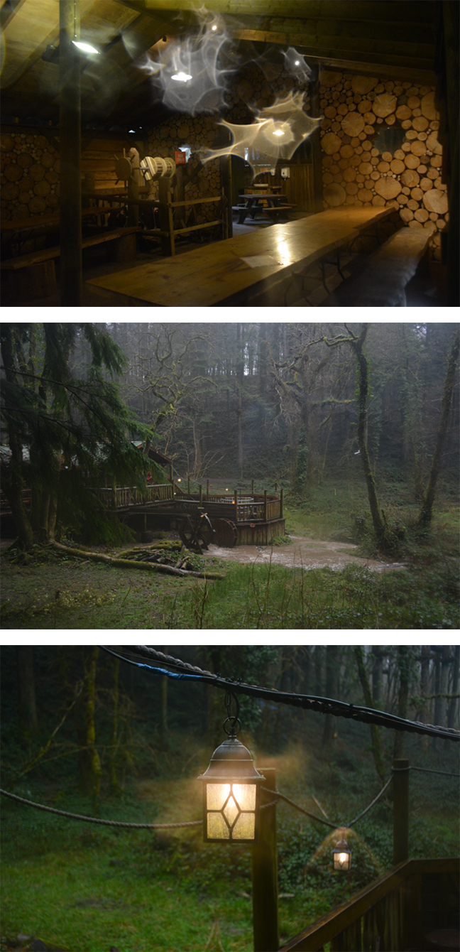 bluestone national park resort forest