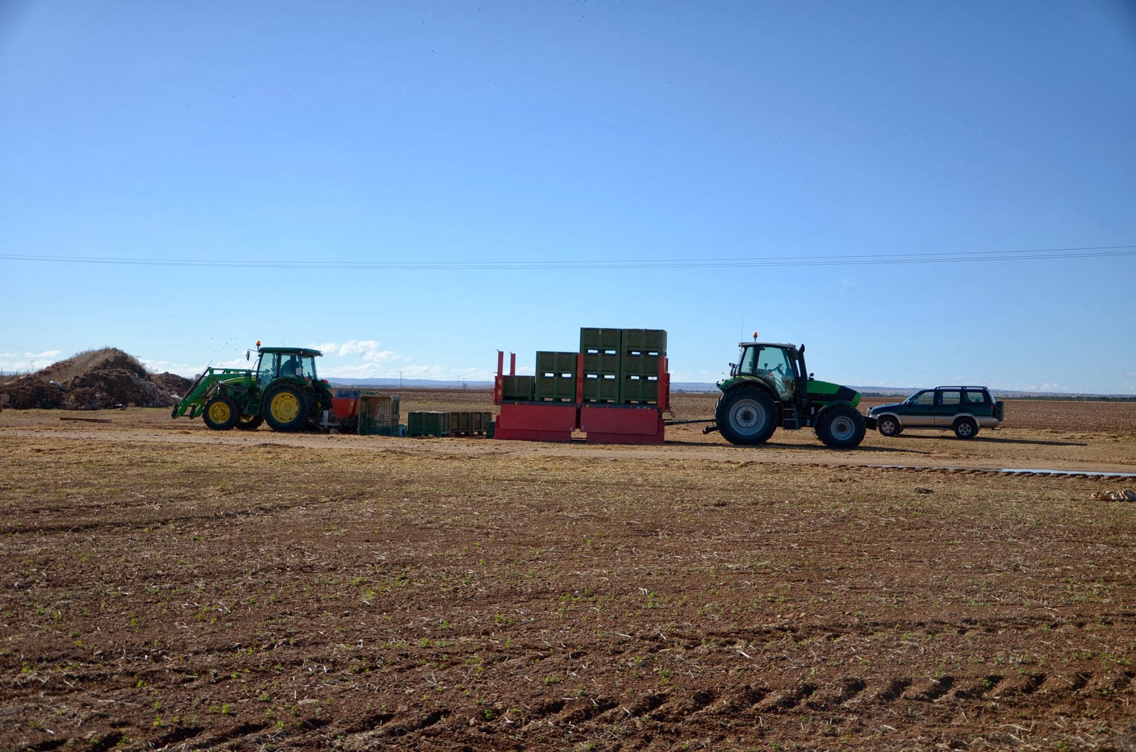 Garlic Mechanical planter