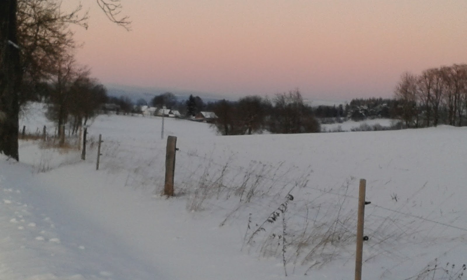 Geburtstagsspruche Niveauvolle Kurze Und Lange Lustige Und