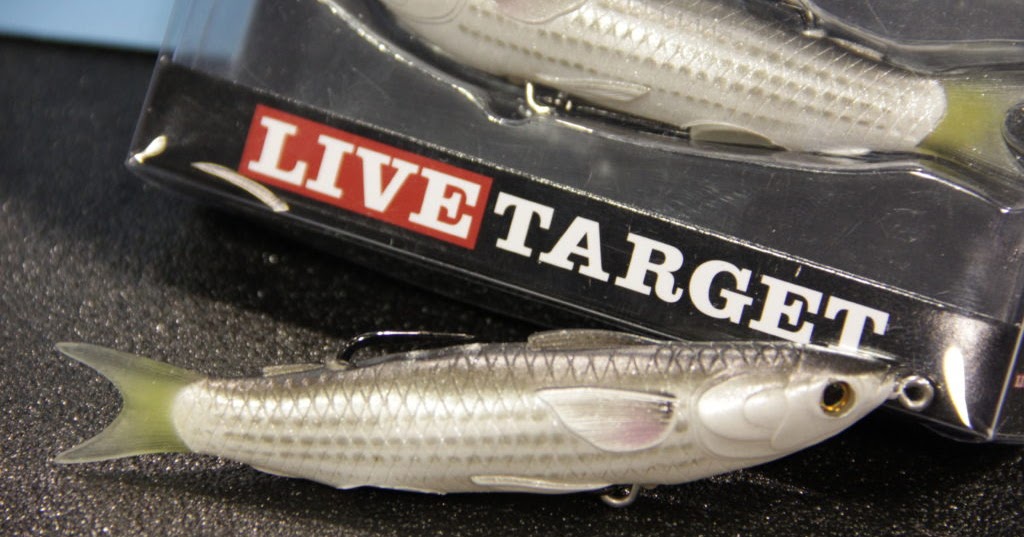 spanish mackerel bait