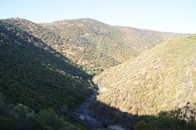 Ruta de Senderismo en el Río Yeguas en el corazón del Parque de Cardeña Montoro 