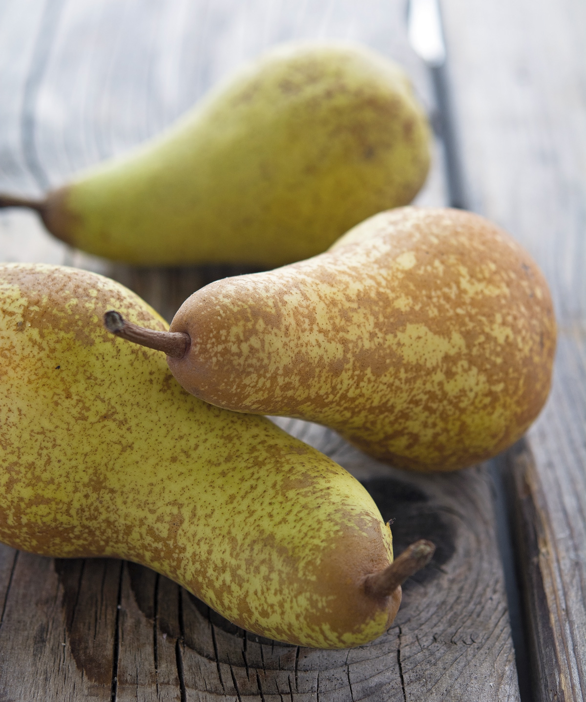 Pears