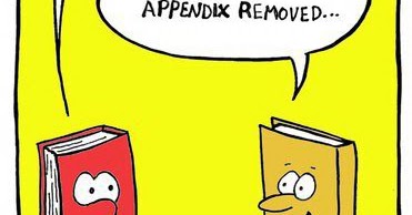 Book Appendix Thinner Cartoon ~ Silly Bunt