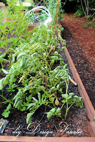 raised beds, raised beds on a slope, vegetable garden, building project, diyDesignFanatic.com