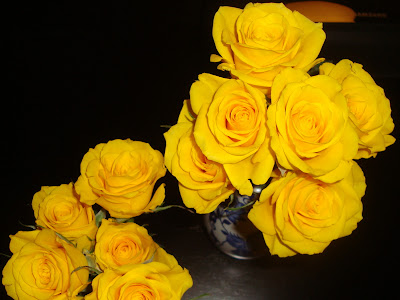 10 Rosas amarelas!!!