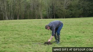 bouse_boum.gif bouse_boum.gif