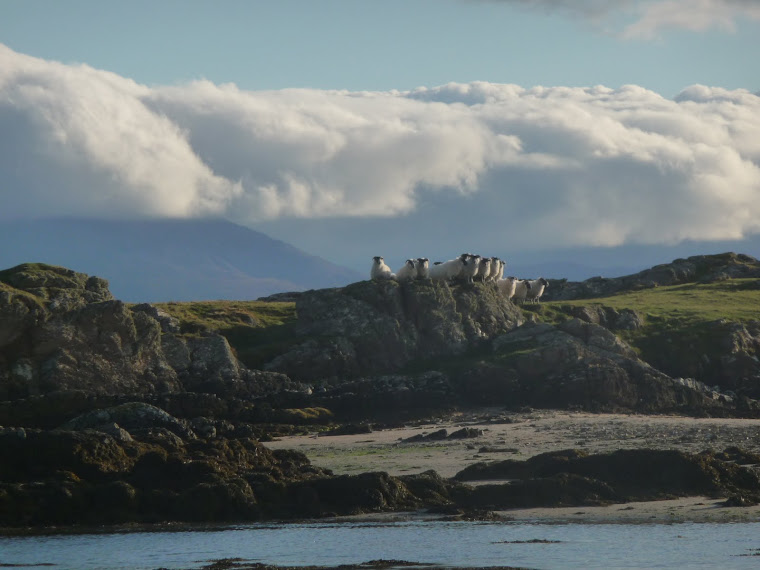 Island at the Edge: A winters morn at Colonsay International Airport...
