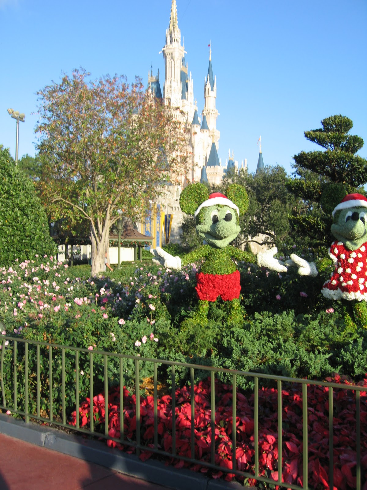 Polka Dot Galoshes Christmas gardens...Disney World style!