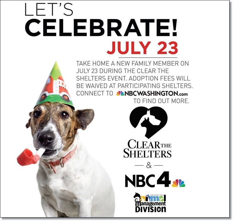 The Pet Tree House Where Pets Are Family Too Prince County Animal Shelter Take