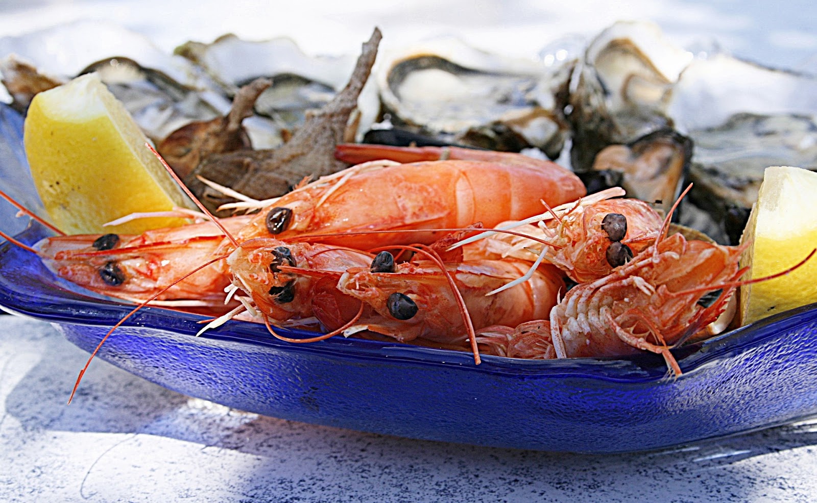 Marisco de Galicia. 10 beneficios que lo hacen tan apreciado Marisco de Galicia. 10 beneficios que lo hacen tan apreciado