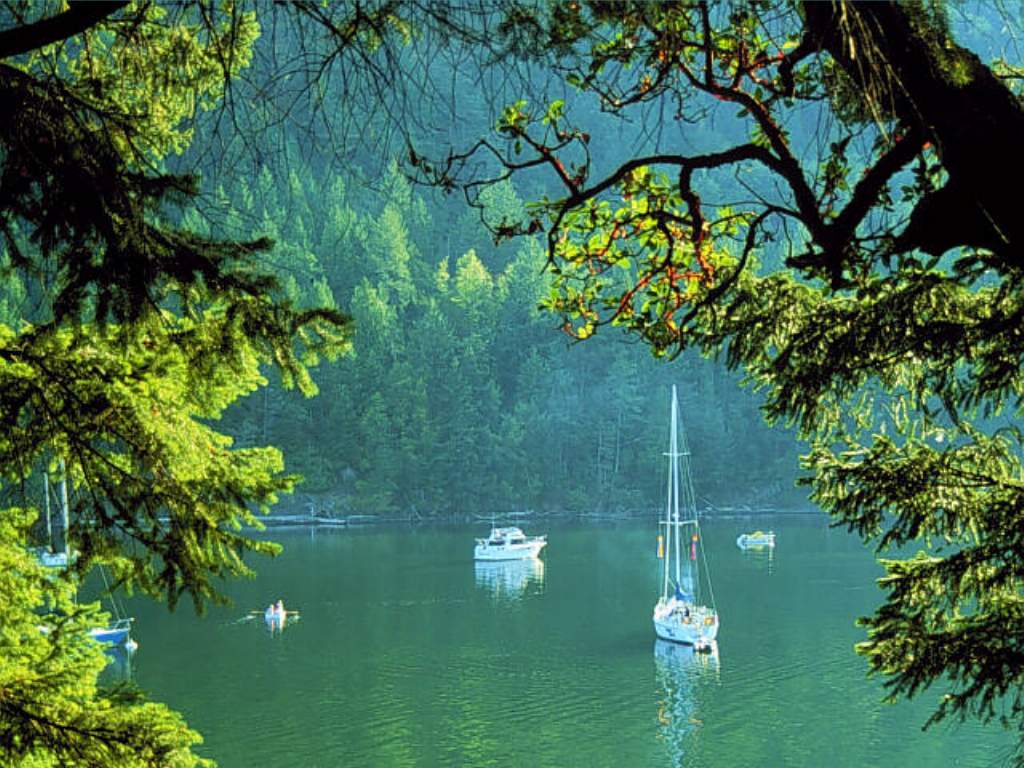 Fantastic wallpapers for desktop: Beautiful Wallpaper