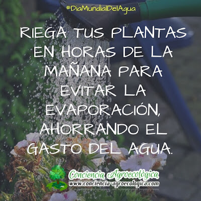 recomendaciones para el uso eficiente del agua recomendaciones para el uso eficiente del agua
